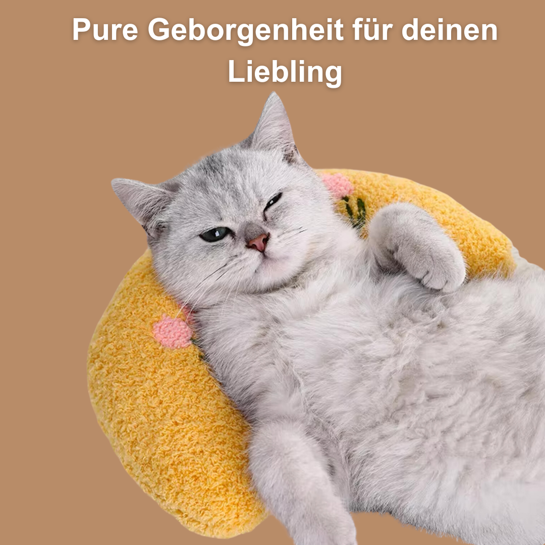 Anti-Stress Kuschelnest- der beruhigende Rückzugsort für glückliche Katzen