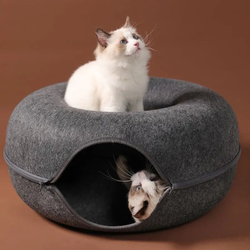 Katzen Traum-Oase: Donut-Tunnel-Spielbett für Katzen